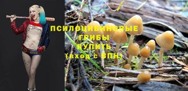 мдпв Лабытнанги