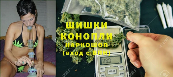 дживик Аркадак