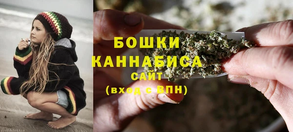 дживик Аркадак